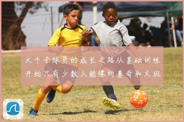 大个子球员的成长之路从基础训练开始只有少数人能像约基奇和文班那样成功
