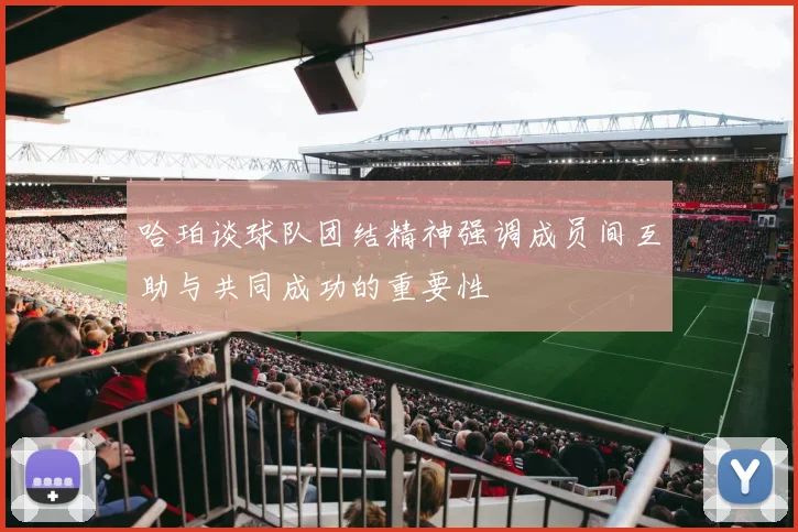 哈珀谈球队团结精神强调成员间互助与共同成功的重要性