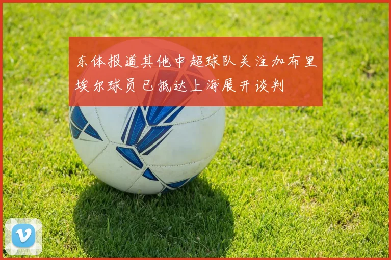 东体报道其他中超球队关注加布里埃尔球员已抵达上海展开谈判